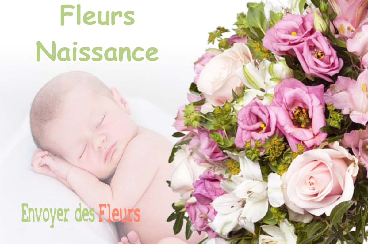 lIVRAISON FLEURS NAISSANCE à CHANAS